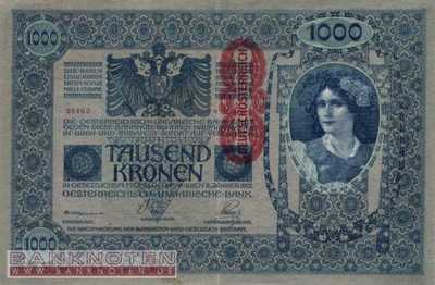 Österreich - 1.000  Kronen (#059_XF)