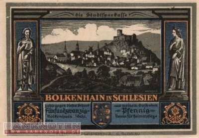 Bolkenhain - 25  Pfennig (#SS0137_2-1_UNC)