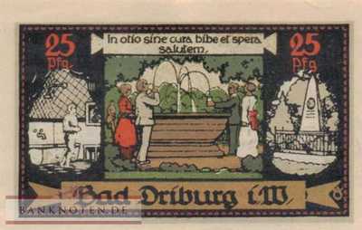 Driburg, Bad - 25  Pfennig (#SS0292_1a-1_UNC)