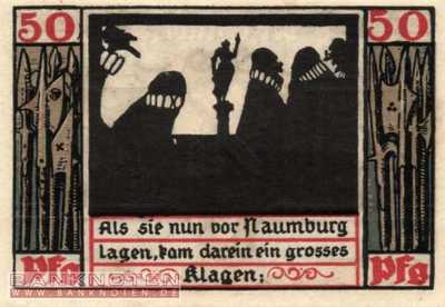 Naumburg - 50  Pfennig (#SS0928_3b-2_UNC)