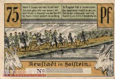 Neustadt i. Holstein - 75  Pfennig (#SS0963_1c-2-4_AU)