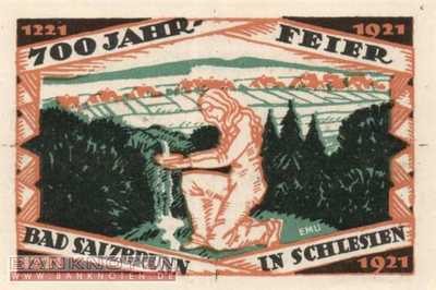 Ober-Salzbrunn - 50  Pfennig (#SS1000_1-2_UNC)