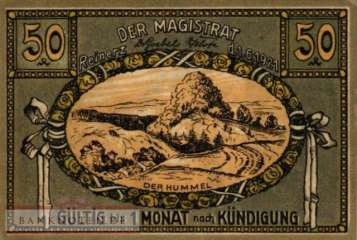 Reinerz, Bad - 50  Pfennig (#SS1111_1-3-3_UNC)