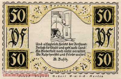 Stolzenau - 50  Pfennig (#SS1276_2-1-1_UNC)