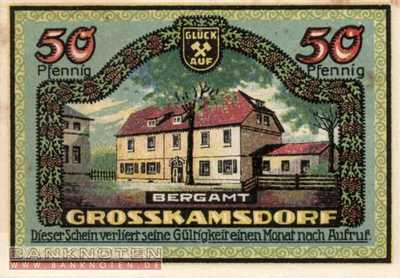 Ziegenrück - 50  Pfennig (#SS1471_1a-2_UNC)