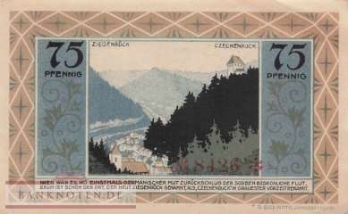 Ziegenrück - 75  Pfennig (#SS1472_1a-3-1_UNC)
