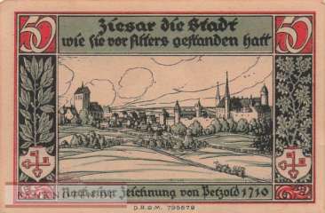 Ziesar - 50  Pfennig (#SS1473_1b-2_AU)