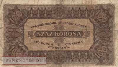Hungary - 100  Korona (#073b_F)