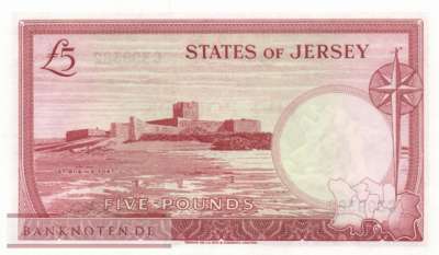 Jersey - 5  Pounds (#009b_UNC)